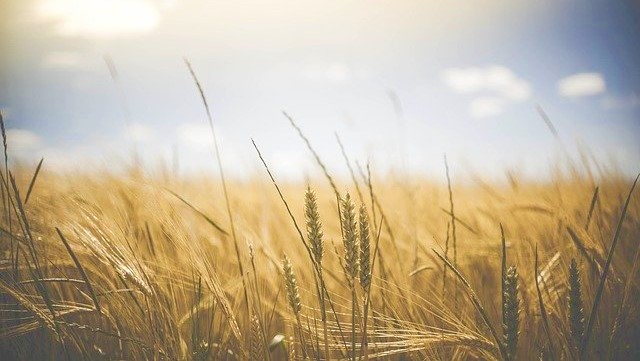 Να αφήσουμε τον λόγο Του να καρποφορήσει μέσα μας