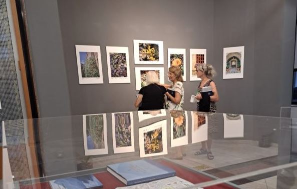 Παράταση έκθεσης “Άγιον Όρος: Ένα μοναδικό μνημείο της φύσης” έως τις 15 Οκτωβρίου