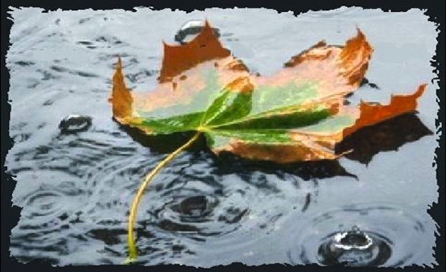 Δυσοσμία και ευωδία