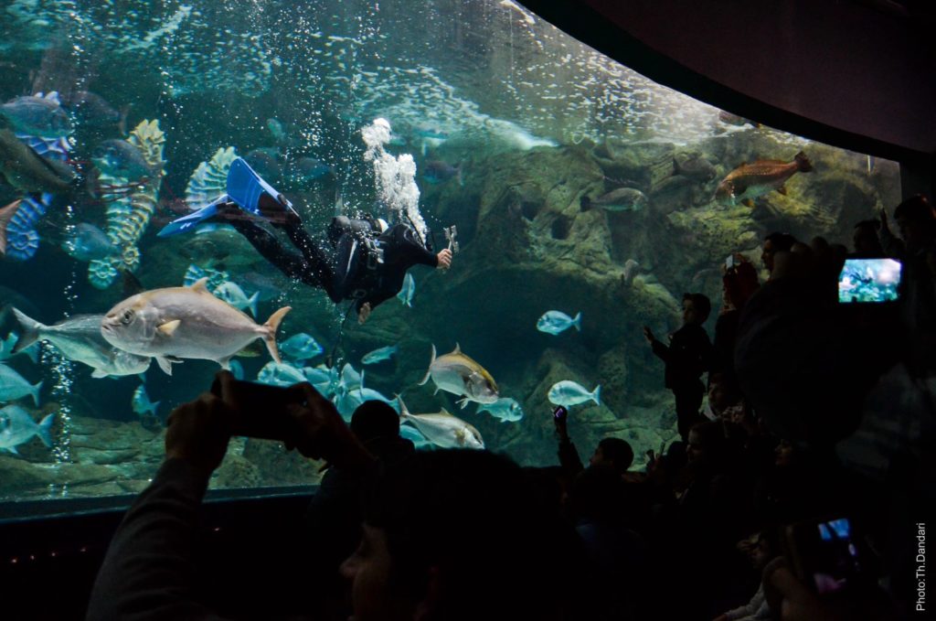 Ο Αγιασμός των Υδάτων στο Ενυδρείο Κρήτης (ΒΙΝΤΕΟ)