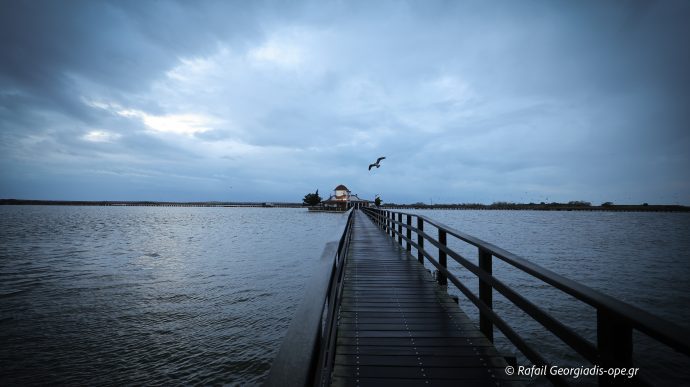 Η ελευθερία χωρίς βία ως κορύφωση της ανθρώπινης ευθύνης