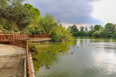 Άγια Θεοφάνεια 2026 στη Λίμνη Αγίου Γεωργίου Αθαλάσσης