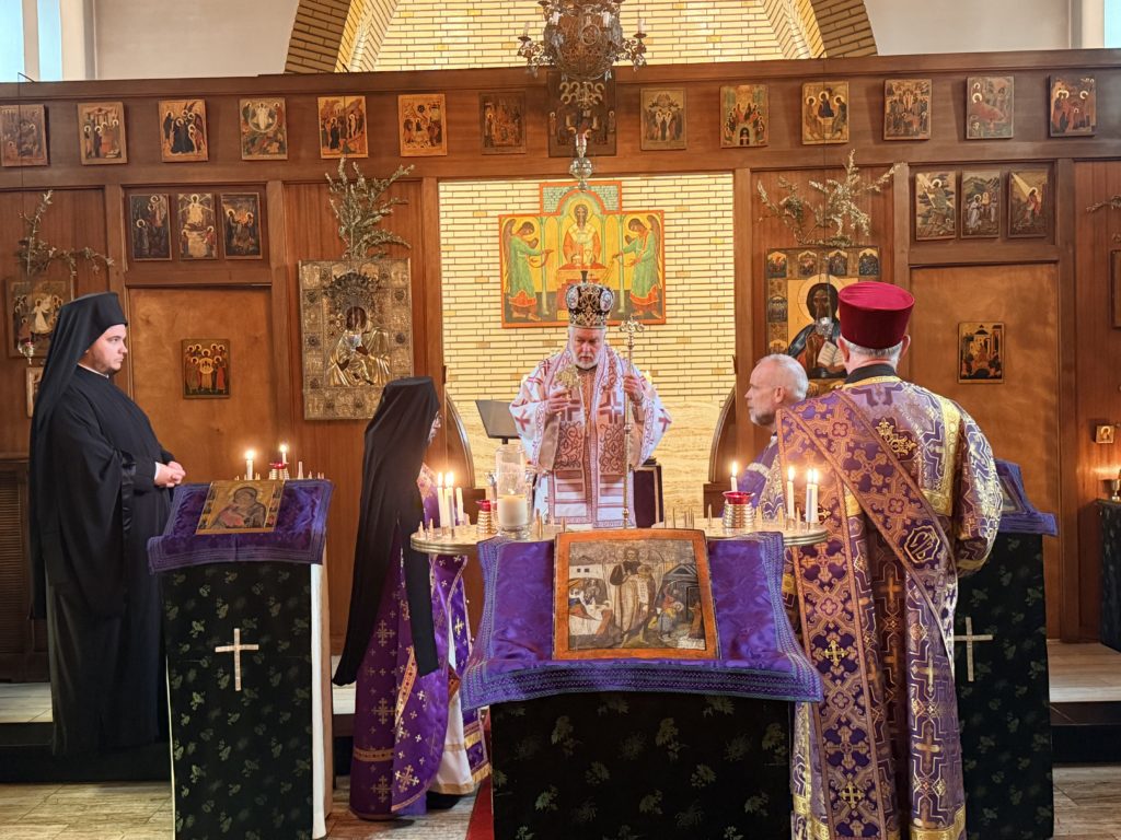 Μνήμη του Θαύματος των Κολλύβων του Αγίου Θεοδώρου του Τήρωνος στη Χάγη της Ολλανδίας