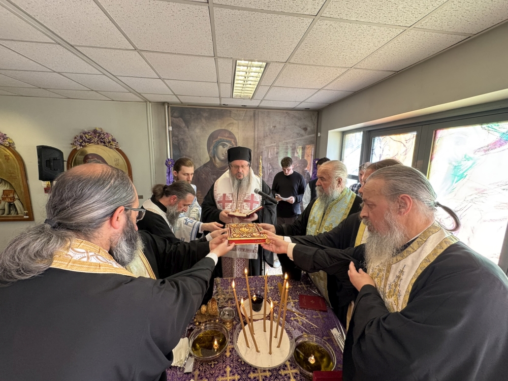 Το Μυστήριο του Ευχελαίου στα νοσηλευτικά ιδρύματα της Λάρισας