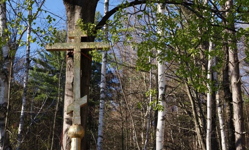 Organizations convene to address Orthodox women’s concerns