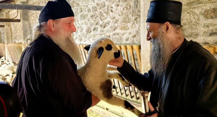 Патријарх Порфирије обишао имање манастира Високи Дечани