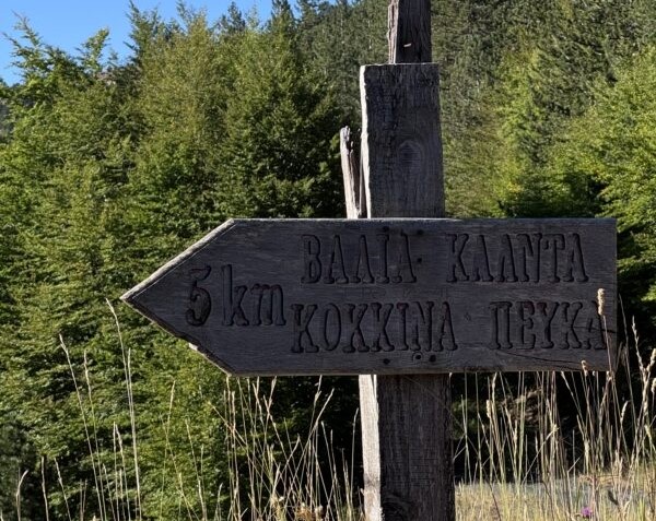 Θεία Λειτουργία στον Εθνικό Δρυμό της Βάλια Κάλντα