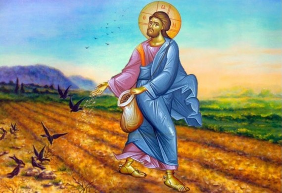 Ένας σπόρος, τέσσερις δρόμοι, μία καρδιά